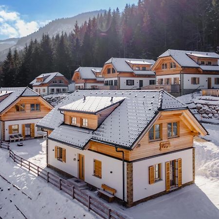 Chalet Pretzel Donnersbachwald Eksteriør bilde
